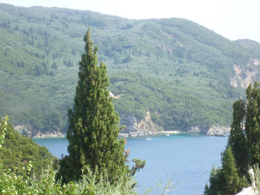 Noufaro Appartement Paleokastritsa Kamer foto